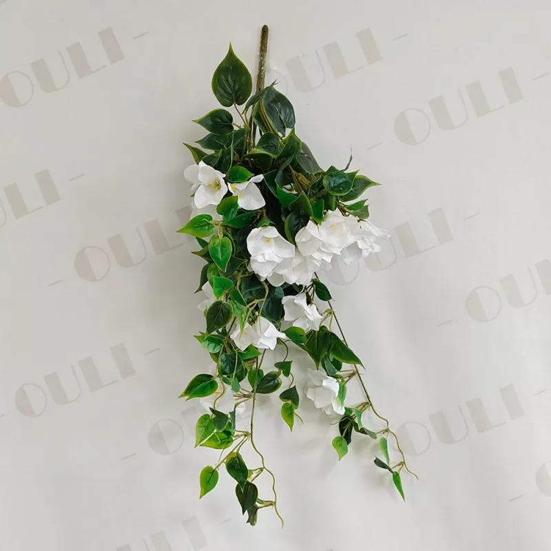 Netikros Bougainvillea kabančios gėlės