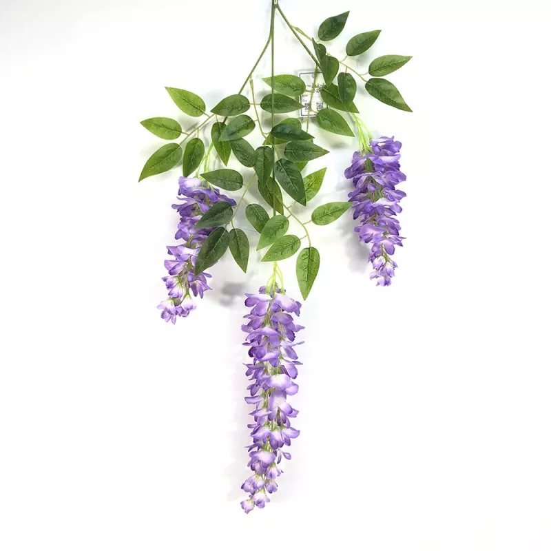 Netikros Wisteria šakos