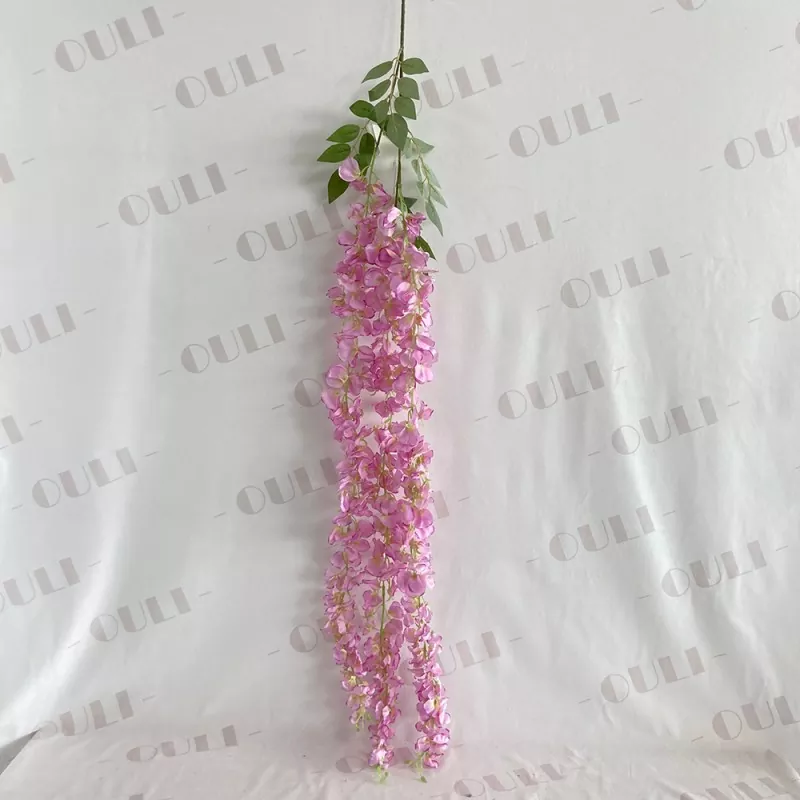 wisteria brachybotrys white silk