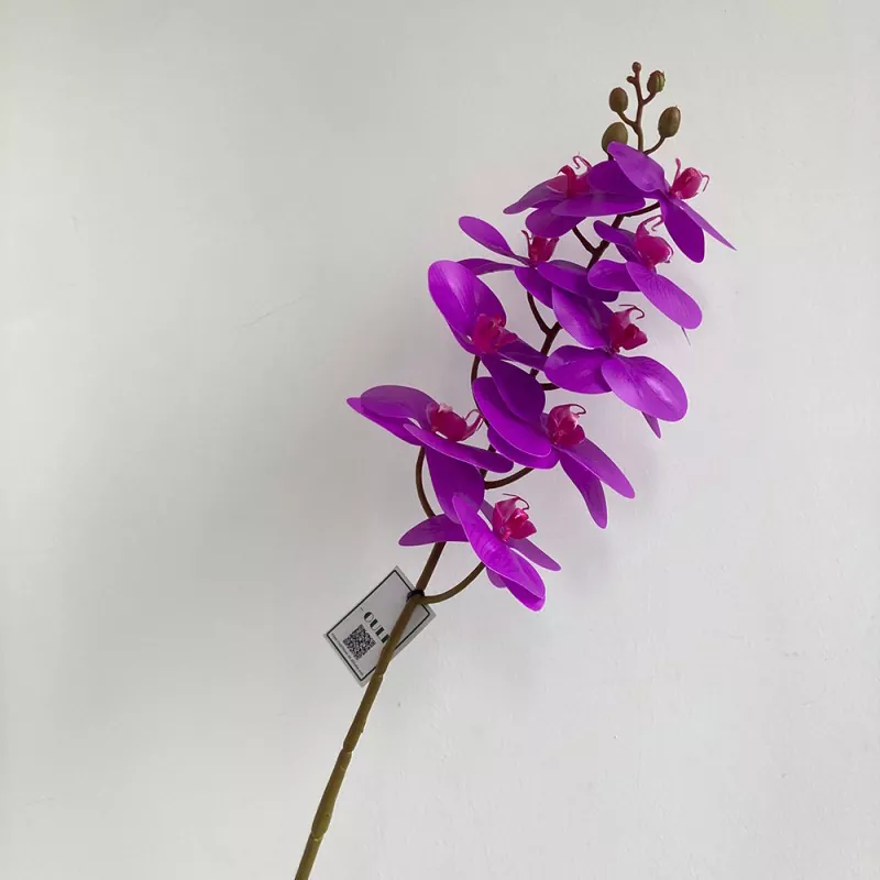 Tikroji dirbtinė orchidėja